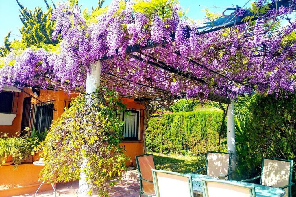 Villa Torrenueva Málaga Exterior foto